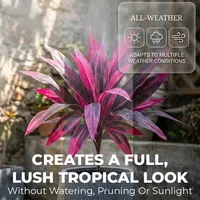 🔥Last Day 50% OFF🔥Artificial Dragon’s Blood Tree Plants thumbnail 2