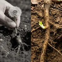 🌱 RootGrip Garden Weeding Tool thumbnail 3