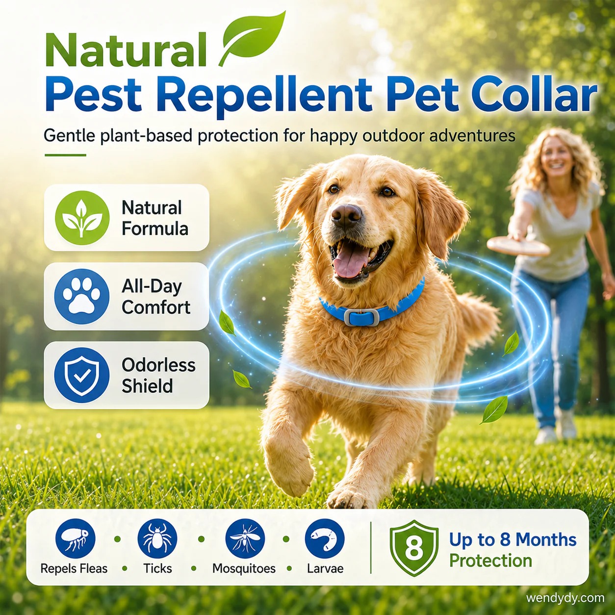 🥳2026 HOT SALE🥳💞50K+ SOLD!💛✨Natural Collar with Essential Oils – For a More Comfortable Stay Out🐶 - Image 1
