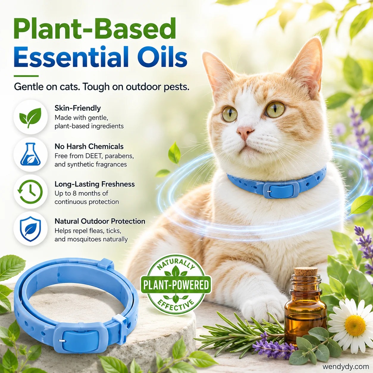 🥳2026 HOT SALE🥳💞50K+ SOLD!💛✨Natural Collar with Essential Oils – For a More Comfortable Stay Out🐶 thumbnail 2