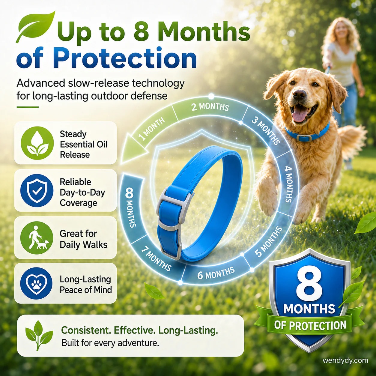 🥳2026 HOT SALE🥳💞50K+ SOLD!💛✨Natural Collar with Essential Oils – For a More Comfortable Stay Out🐶 thumbnail 3
