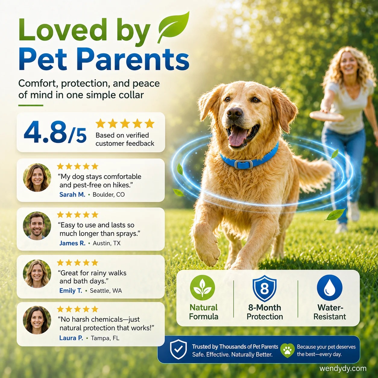 🥳2026 HOT SALE🥳💞50K+ SOLD!💛✨Natural Collar with Essential Oils – For a More Comfortable Stay Out🐶 thumbnail 9
