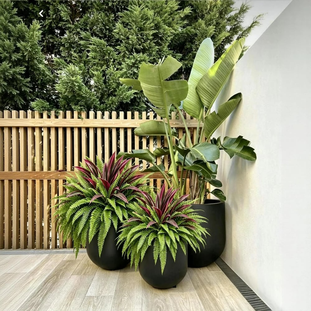 🔥LAST DAY SPECIAL 50% 🌿UV-Resistant Artificial Fern & Red Dracaena Decorative Plants – Full, Lush & Fade-Resistant! thumbnail 11