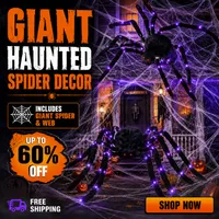 🔥🎃Spooky Season Hot Sale 60% OFF‼️🕷️ Hairy Spider with a Large Web – Outdoor Decoration for Halloween🎃 thumbnail 1