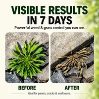 🔥2026 SALE - Fast-Acting Natural Weed & Grass Killer Spray thumbnail 7