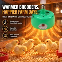 🥳2026 HOT SALE🥳💞56K+ SOLD!🔥 HOT SALE 50% OFF☀️ Intelligent Temperature Control Brooder Heater🌡️ thumbnail 3