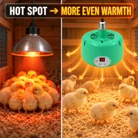 🥳2026 HOT SALE🥳💞56K+ SOLD!🔥 HOT SALE 50% OFF☀️ Intelligent Temperature Control Brooder Heater🌡️ thumbnail 7