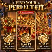 🥳2026 HOT SALE🥳💞50K+ SOLD! - LED Copper Wire Firecracker Light String thumbnail 5