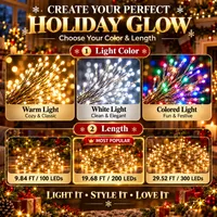🥳2026 HOT SALE🥳💞50K+ SOLD! - LED Copper Wire Firecracker Light String thumbnail 3