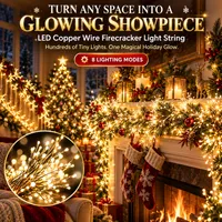 🥳2026 HOT SALE🥳💞50K+ SOLD! - LED Copper Wire Firecracker Light String thumbnail 1
