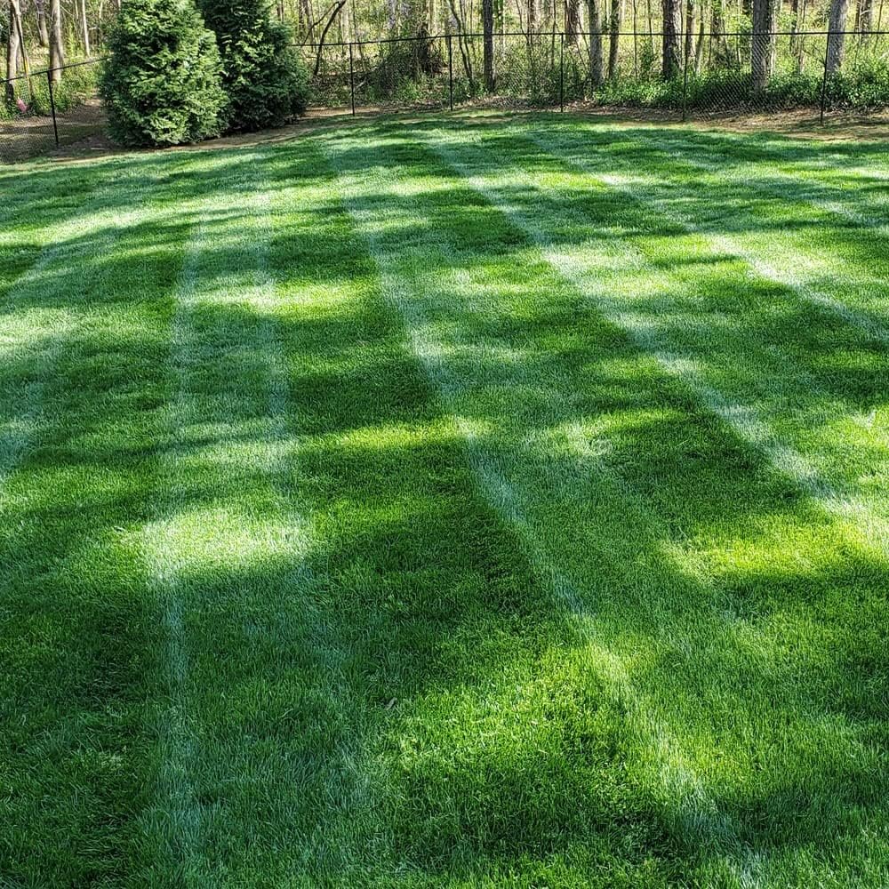 Perfect Lawn