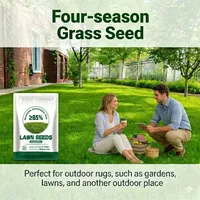 🌱2026 Evergreen Dwarf Grass Seed | For Four Seasons thumbnail 1