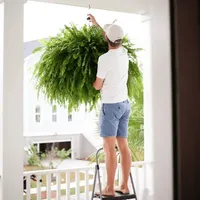 🔥 On Sale Only Today 🌱 UV-Resistant Lifelike Artificial Boston Fern (38 leaves 1 branch) thumbnail 6