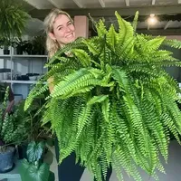 🔥 On Sale Only Today 🌱 UV-Resistant Lifelike Artificial Boston Fern (38 leaves 1 branch) thumbnail 1