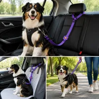 💥LAST DAY 50% OFF✨2-in-1 Dog Car Seat Belt & Walking Leash thumbnail 7