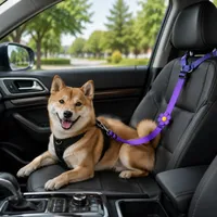 💥LAST DAY 50% OFF✨2-in-1 Dog Car Seat Belt & Walking Leash thumbnail 8